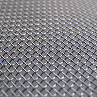 stainless steel 310-310S netting wiremesh